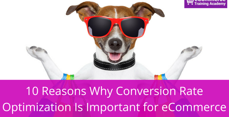 Conversion Rate Optimization Is Important for eCommerce