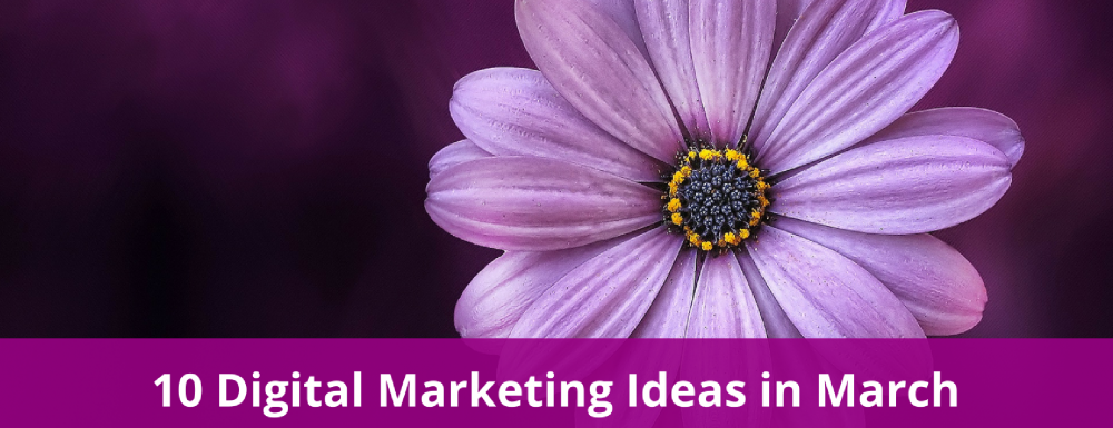 10 Digital Marketing Ideas In March For Ecommerce Businesses